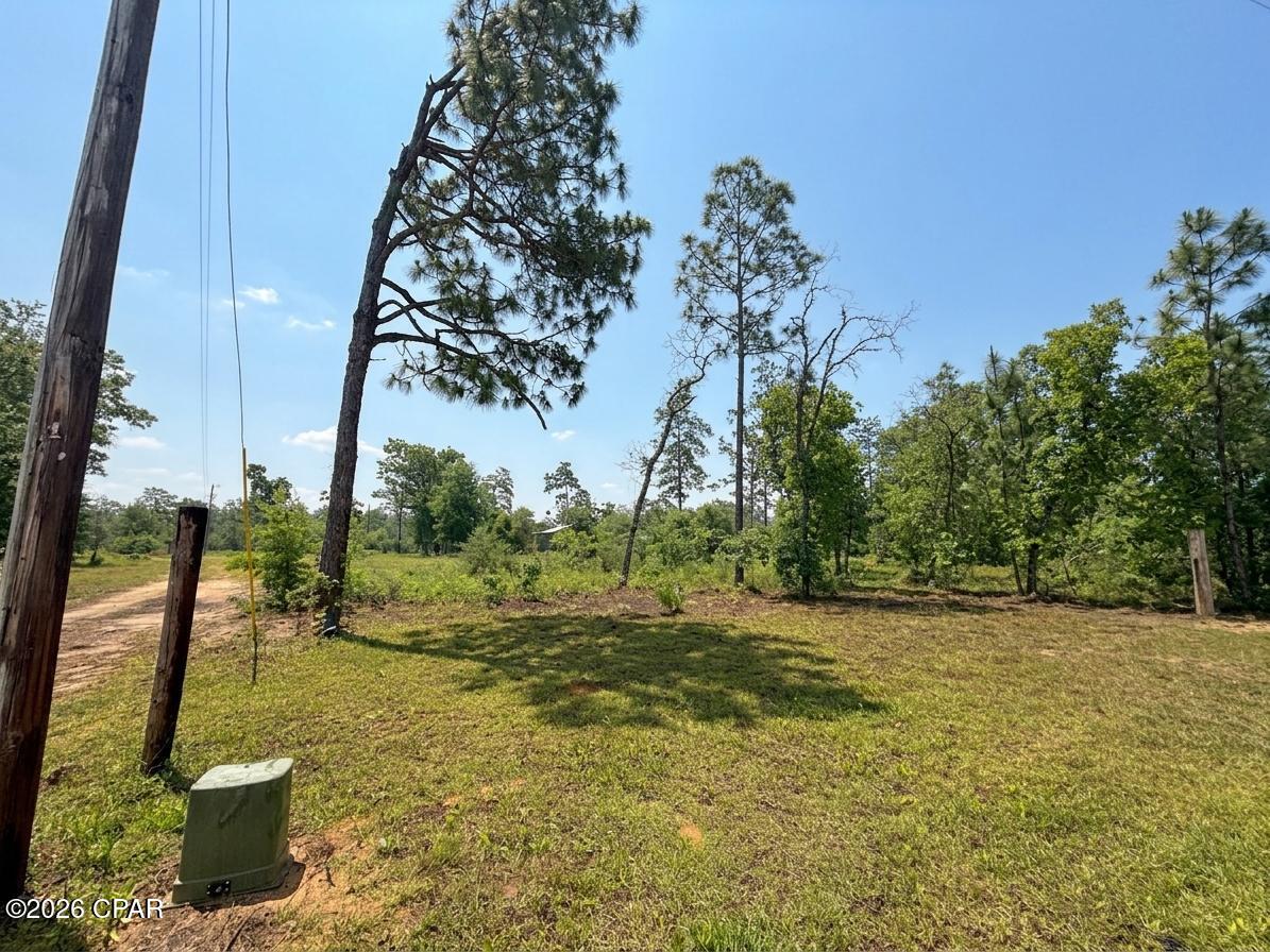 268 Horse Farm Road Marianna, FL 32448 - Photo 8 of 21