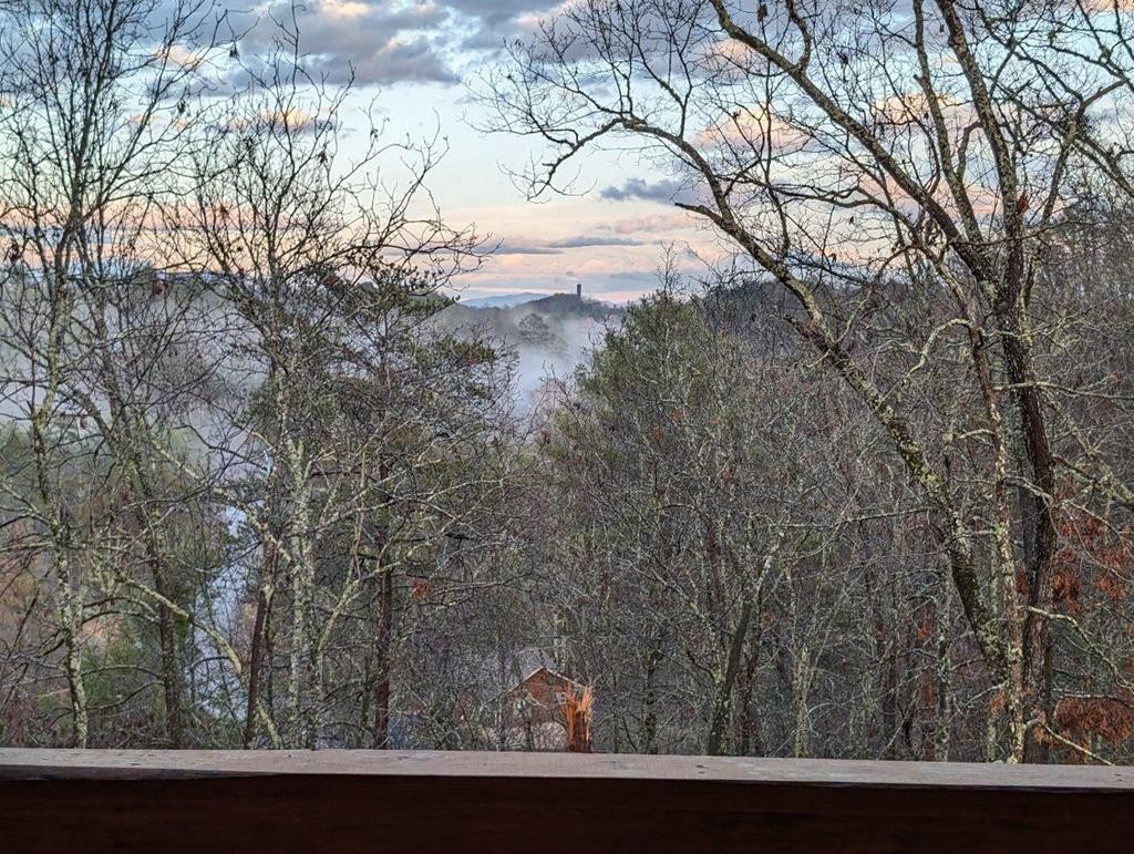 2077 Bluff Ridge Road Sevierville, TN 37876 - Photo 66 of 67 Gallery Image 66