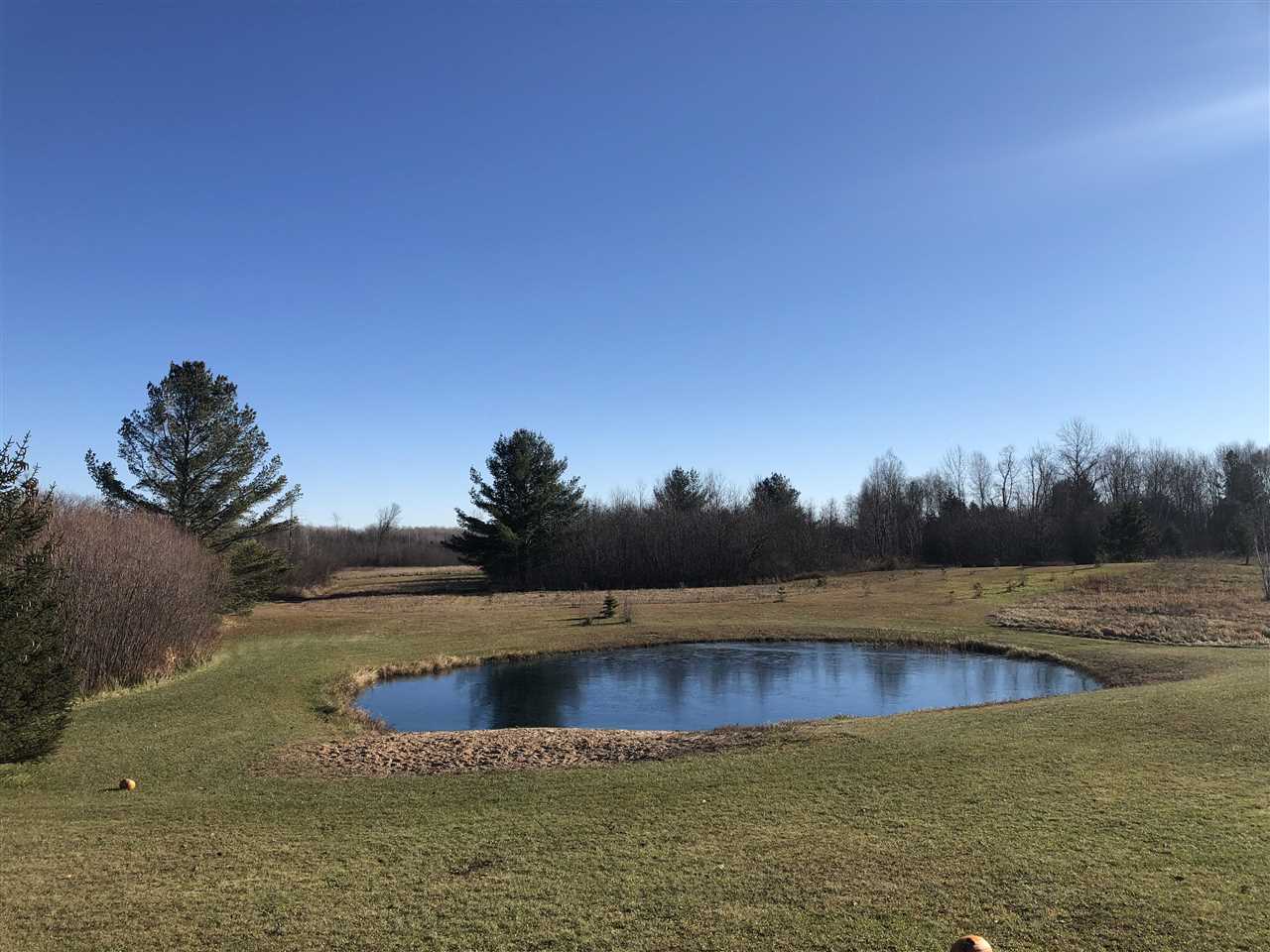 3162 Hottis Road Hale, MI 48739 - Photo 5 of 13 1895451-4.JPG