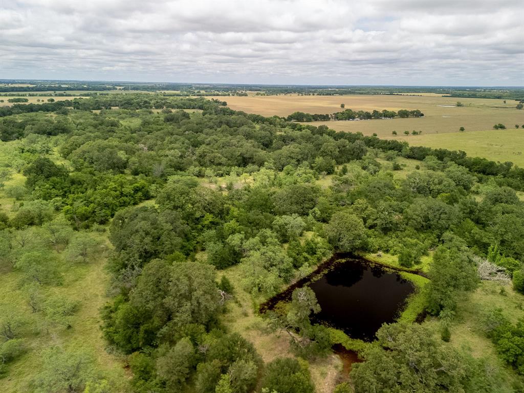 6 County Road 159 Riesel, TX 76682 - Photo 1 of 35 a view of a field with an ocean and trees