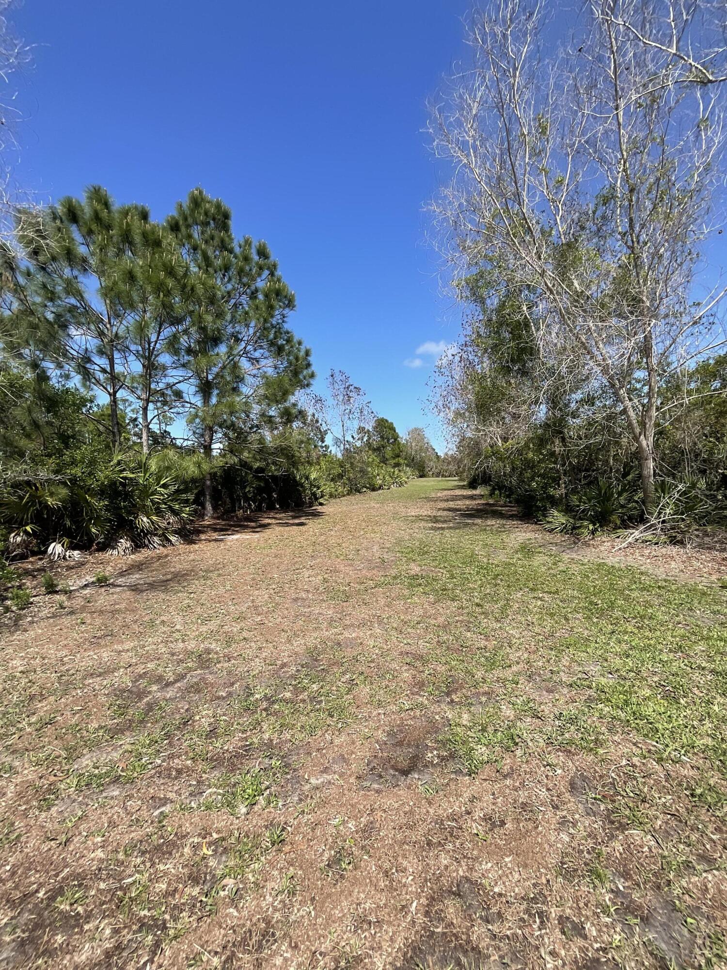 5269 Southeast Jennings Lane Stuart, FL 34997 - Photo 34 of 34 a view of yard with large trees