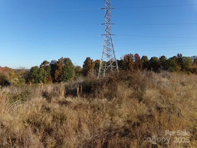 a view of a dry yard