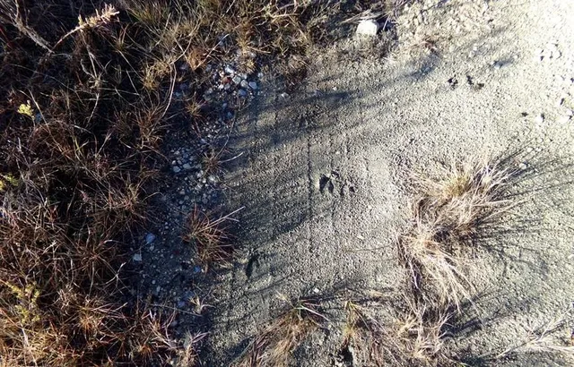 a view of an ocean beach