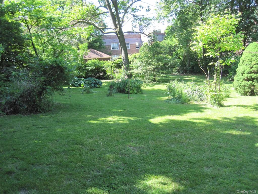 a view of a garden with a tree