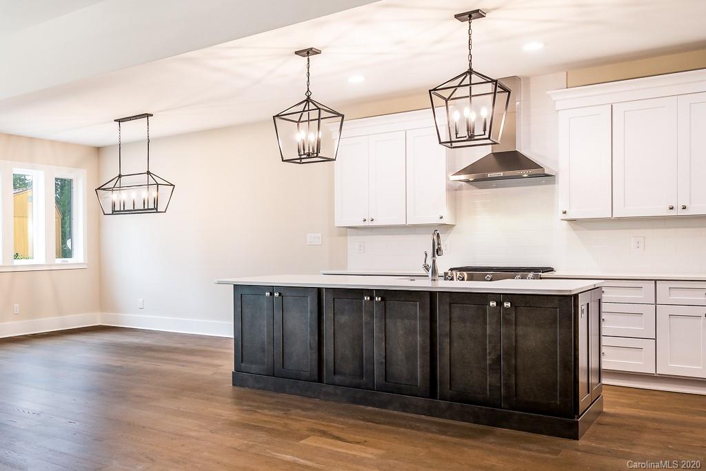 2883 Lake Shore Road South Denver, NC 28037 - Photo 9 of 30 Gallery Image 9