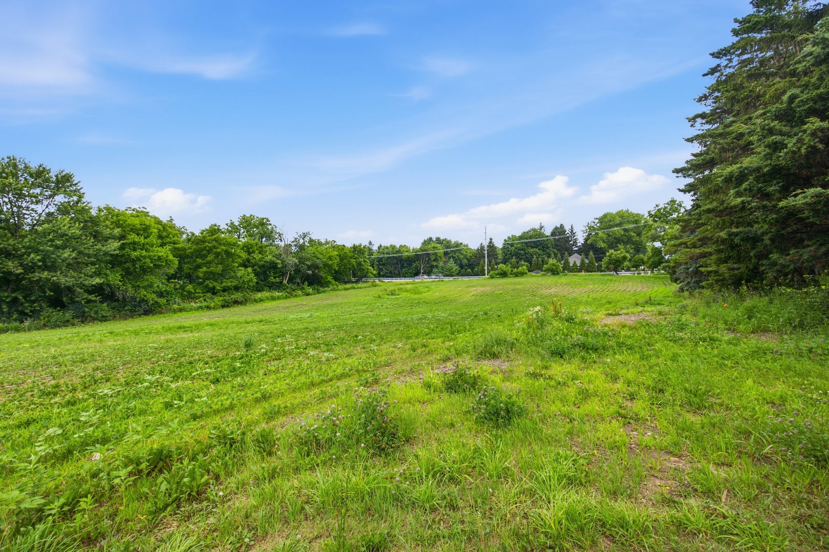 37W961 Bowes Road Elgin, IL 60124 - Photo 46 of 51
