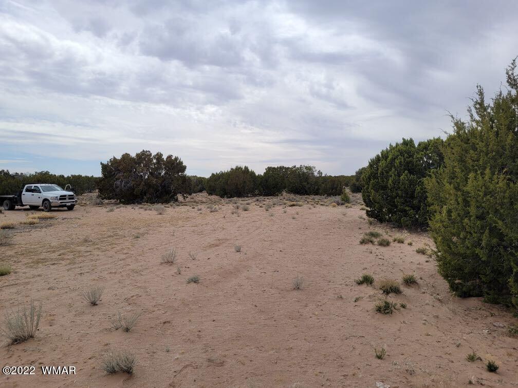 Lot 106 Red Sky Ranch St. Johns, AZ 85936 - Photo 2 of 5