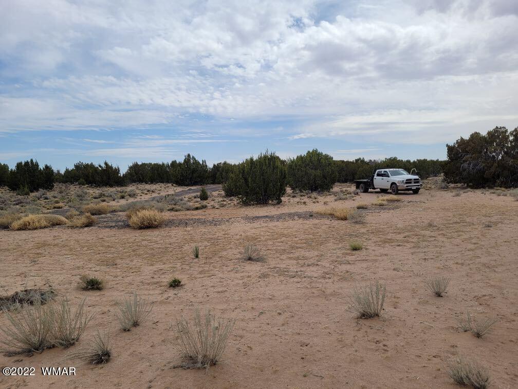 Lot 106 Red Sky Ranch St. Johns, AZ 85936 - Photo 4 of 5