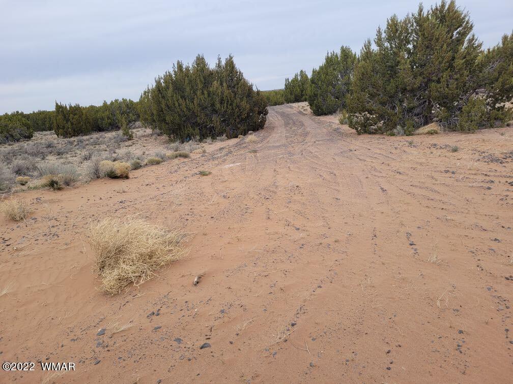 Lot 106 Red Sky Ranch St. Johns, AZ 85936 - Photo 5 of 5
