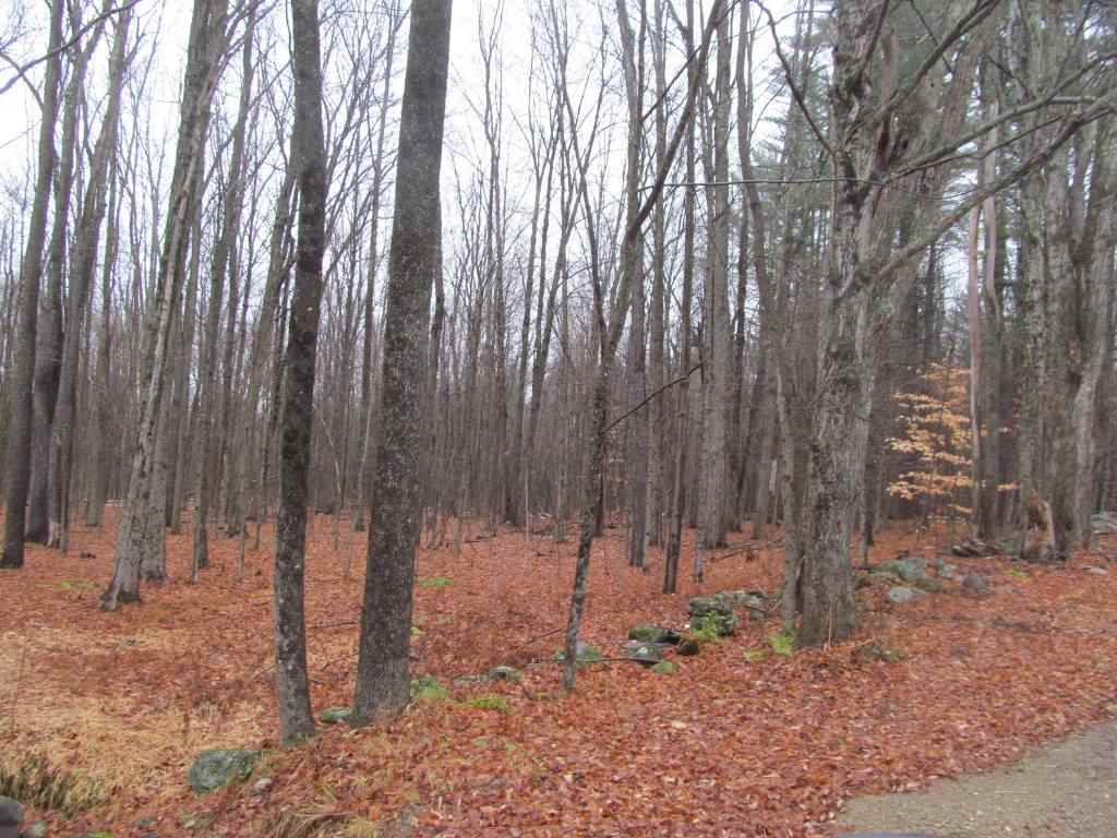 Gove Road Newport, NH 03773 - Photo 2 of 6