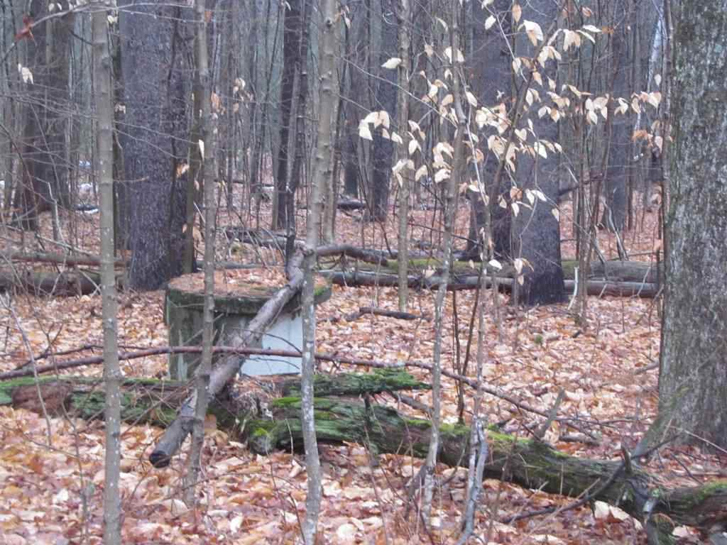 Gove Road Newport, NH 03773 - Photo 3 of 6