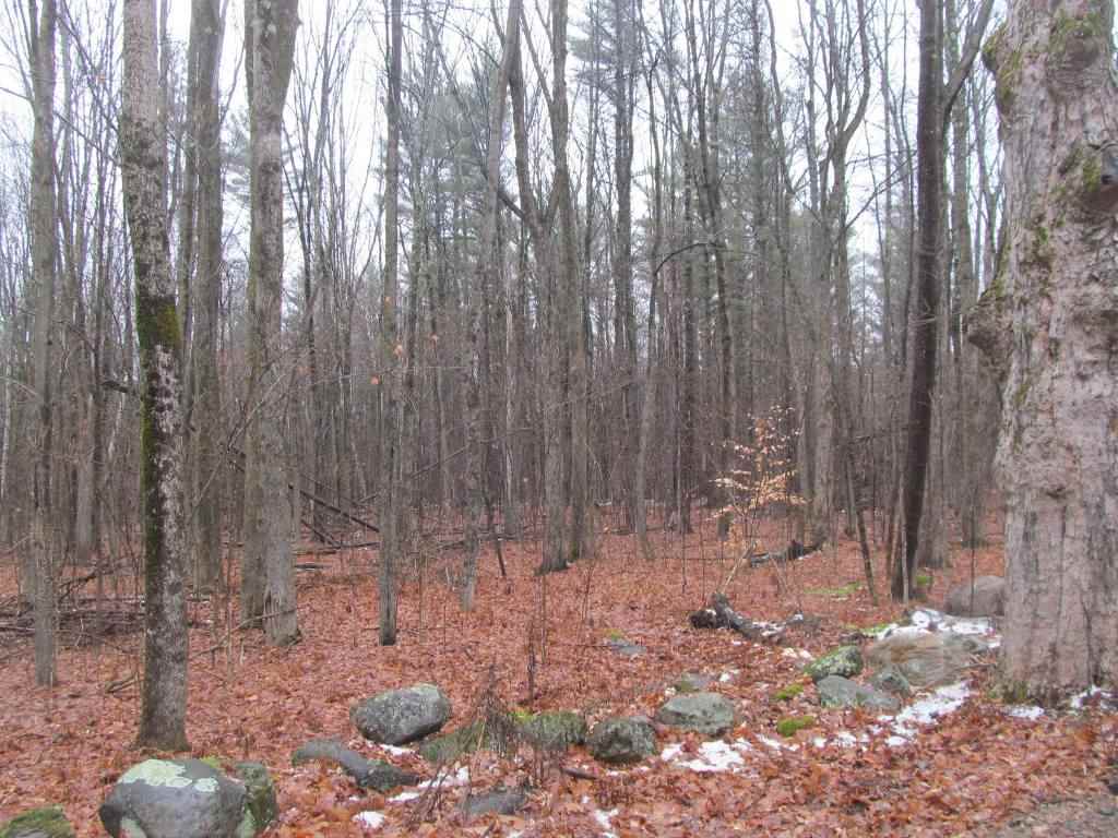 Gove Road Newport, NH 03773 - Photo 4 of 6
