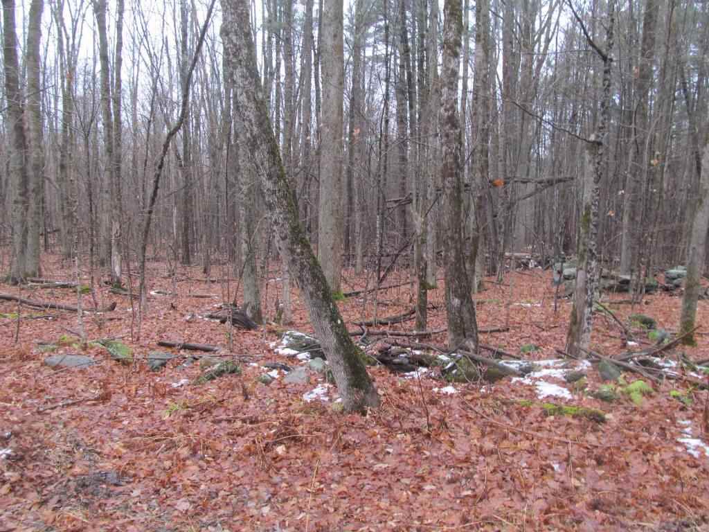Gove Road Newport, NH 03773 - Photo 5 of 6