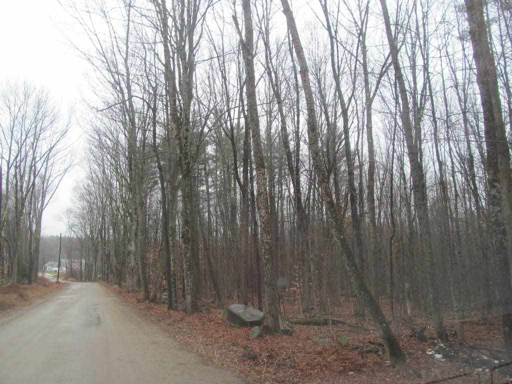 Gove Road Newport, NH 03773 - Photo 6 of 6