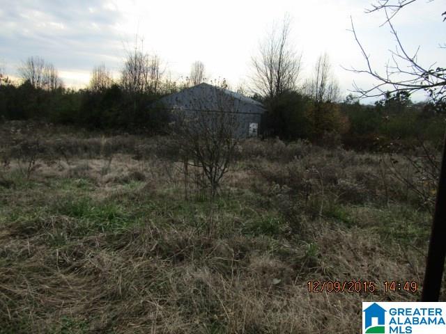 35825 Highway 79 Cleveland, AL 35049 - Photo 5 of 22