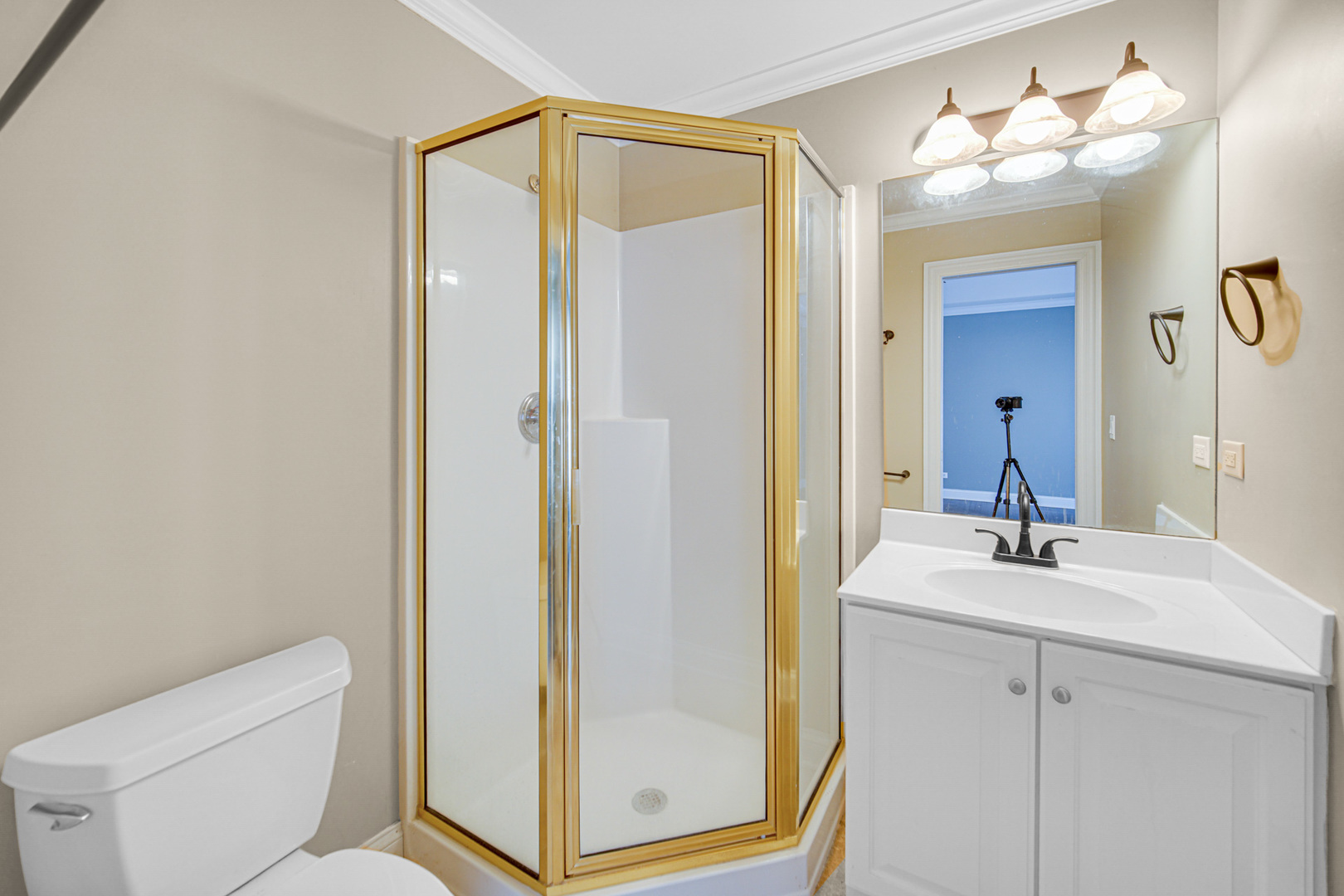 3N777 Walt Whitman Road St. Charles, IL 60175 - Photo 18 of 29 a bathroom with a sink a toilet and shower