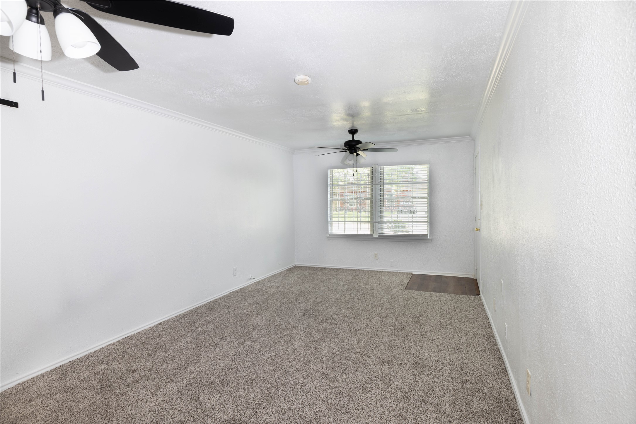 6115 Micollet Street Houston, TX 77016 - Photo 8 of 17