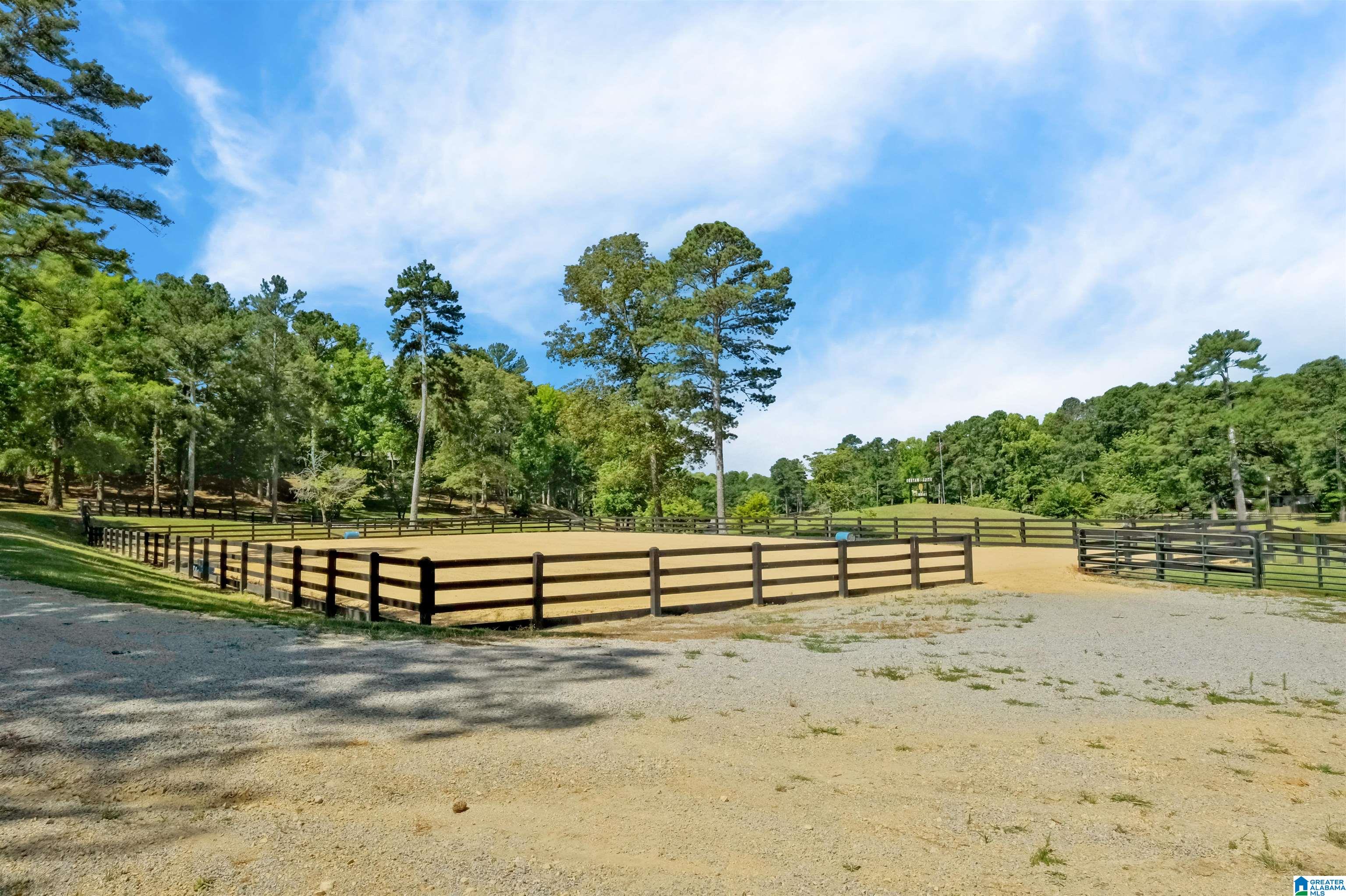 7146 Dry Creek Road Pell City, AL 35128 - Photo 89 of 100