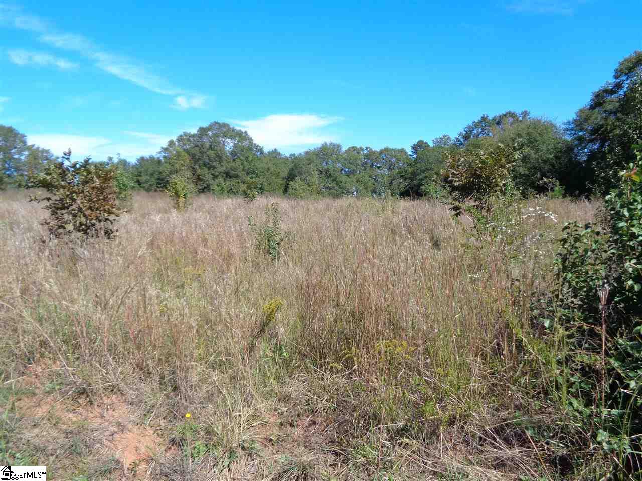 0 29 North Highway Anderson, SC 29621 - Photo 11 of 17 Gallery Image 11