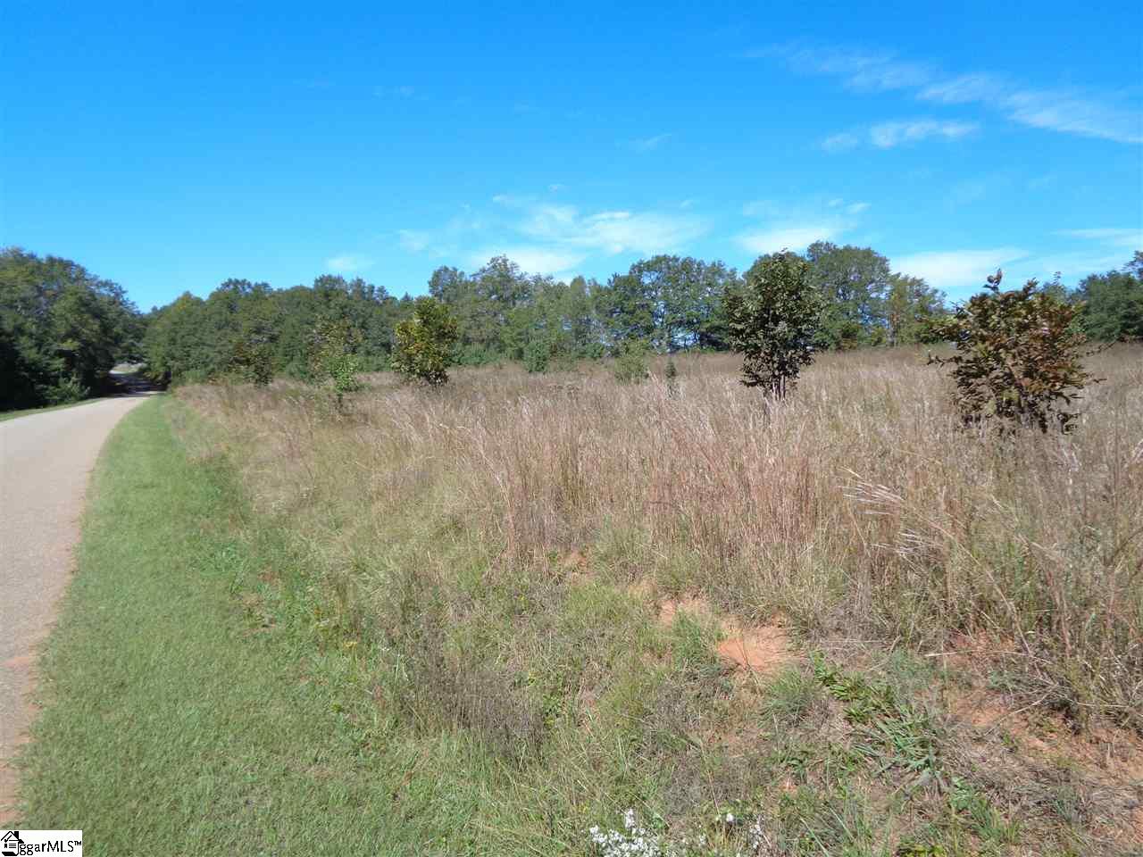 0 29 North Highway Anderson, SC 29621 - Photo 12 of 17 Gallery Image 12
