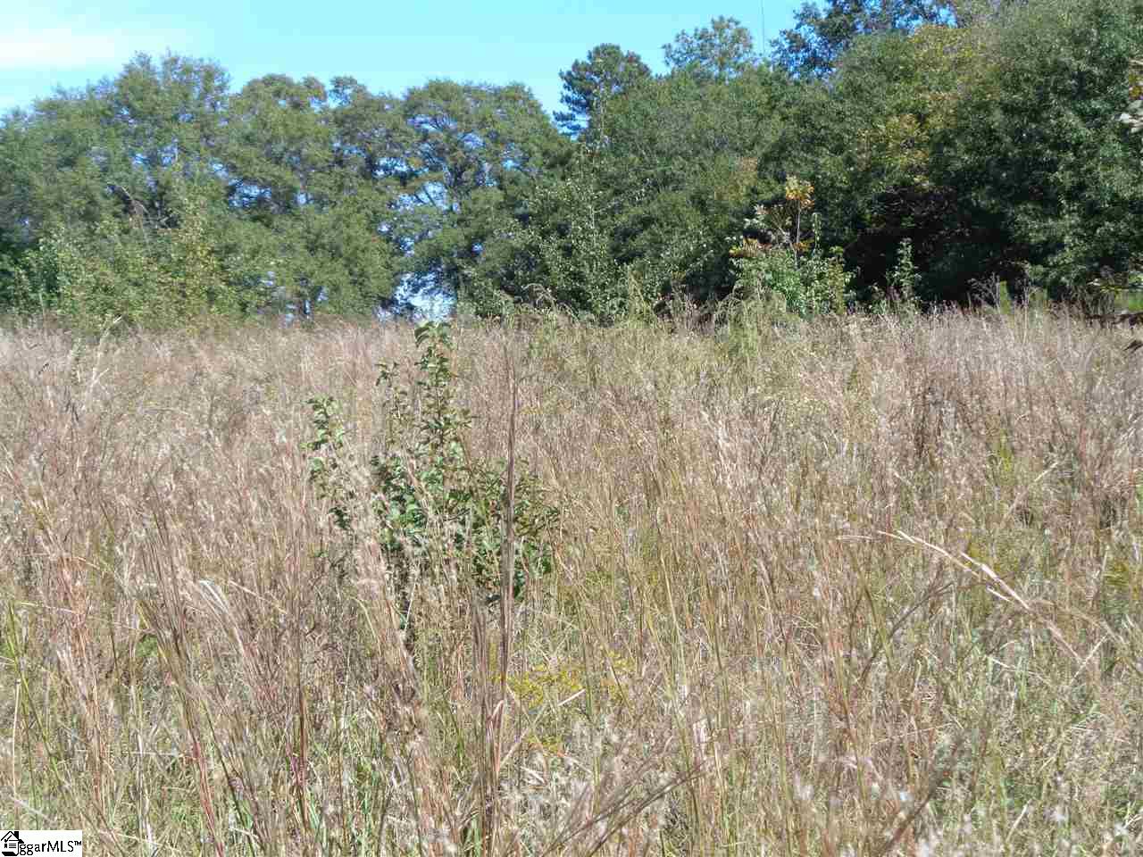 0 29 North Highway Anderson, SC 29621 - Photo 15 of 17 Gallery Image 15