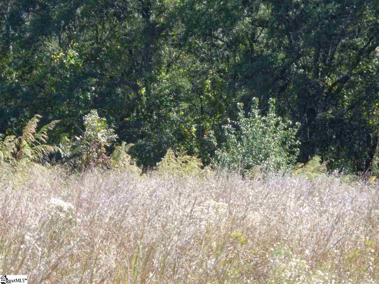 0 29 North Highway Anderson, SC 29621 - Photo 5 of 17 Gallery Image 5