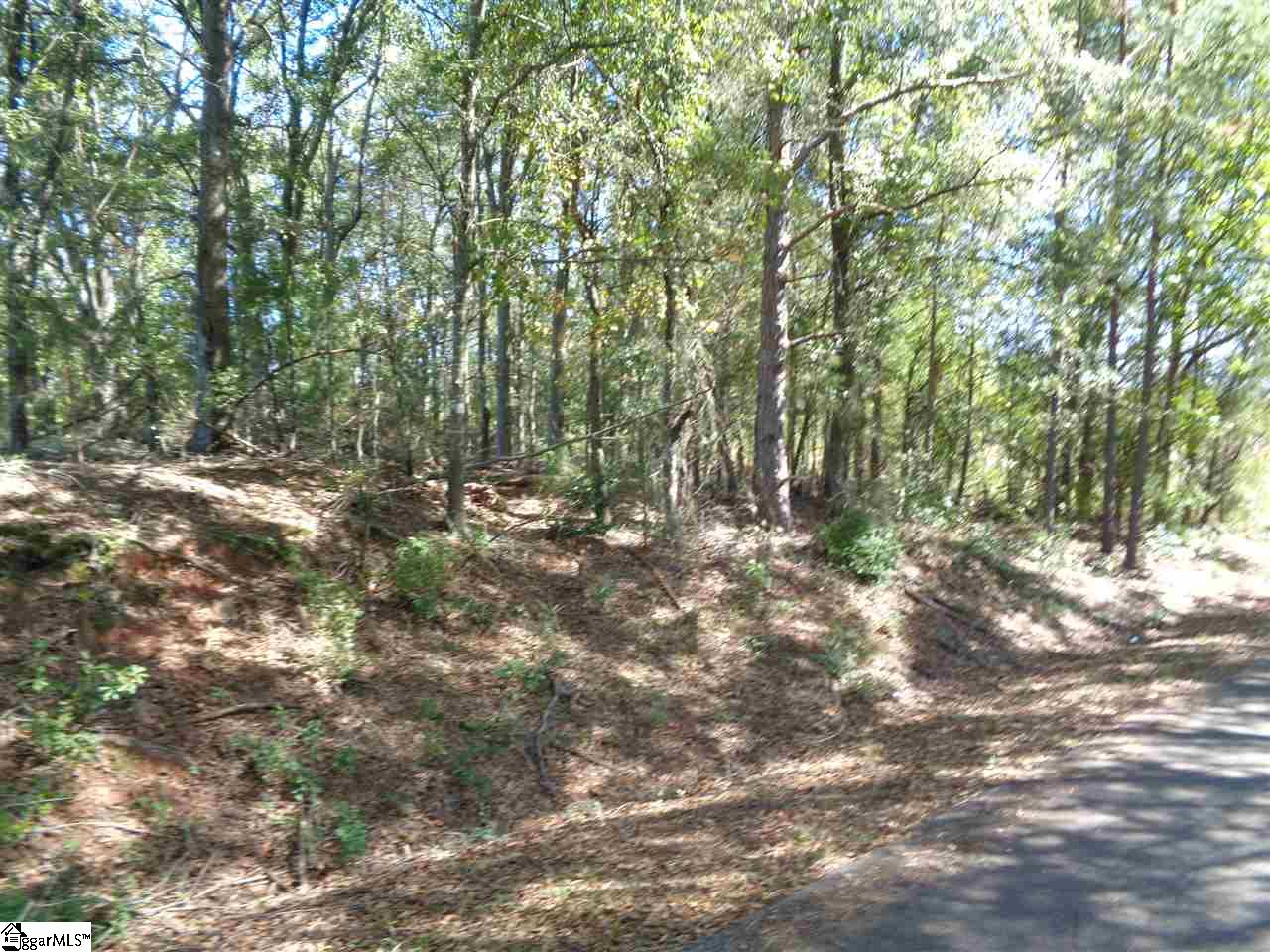 0 29 North Highway Anderson, SC 29621 - Photo 7 of 17 Gallery Image 7