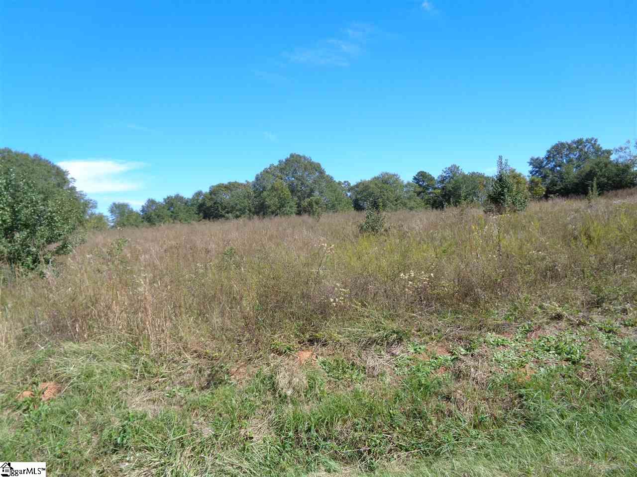 0 29 North Highway Anderson, SC 29621 - Photo 9 of 17 Gallery Image 9