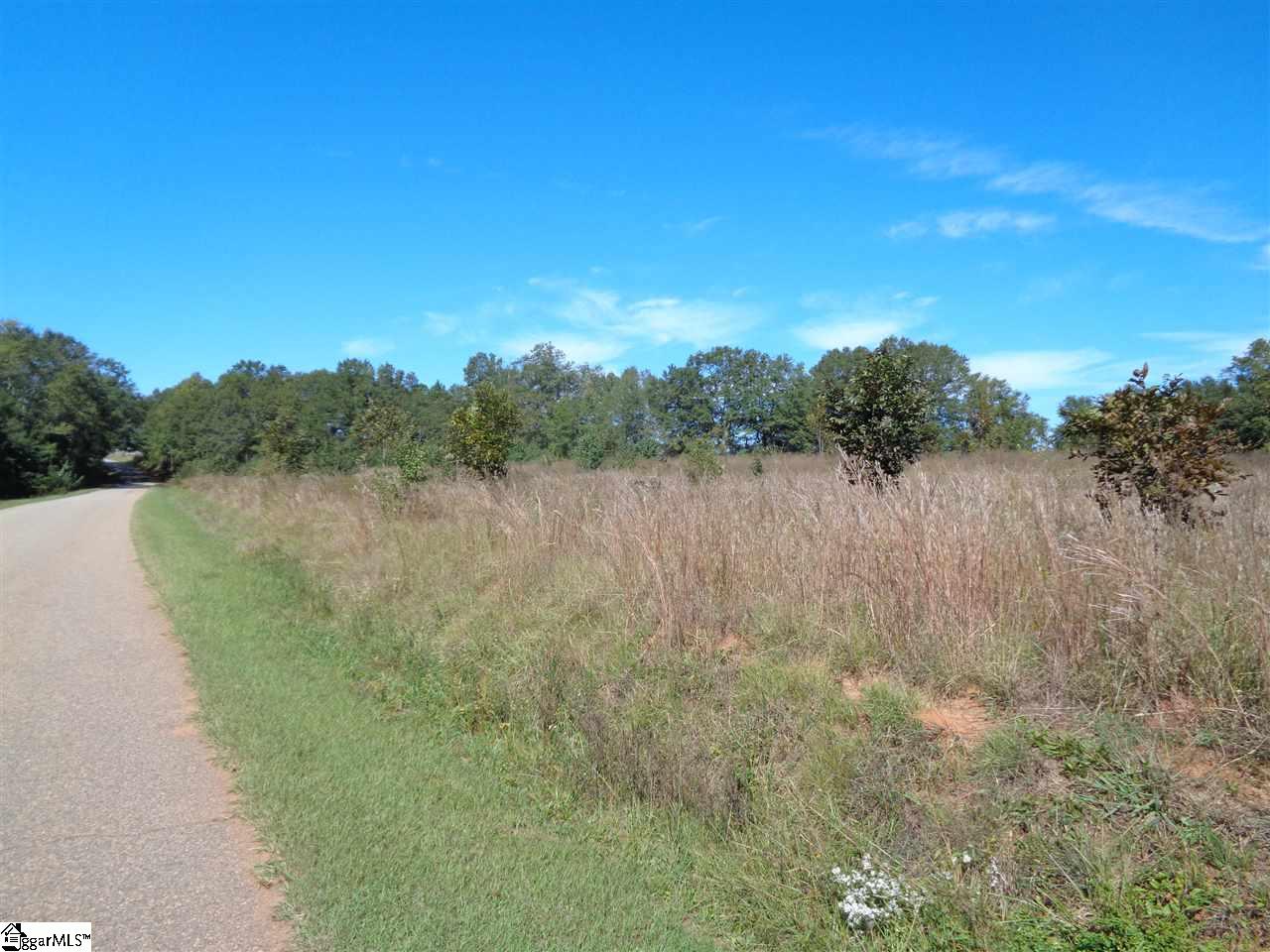 0 29 North Highway Anderson, SC 29621 - Photo 10 of 17 Gallery Image 10