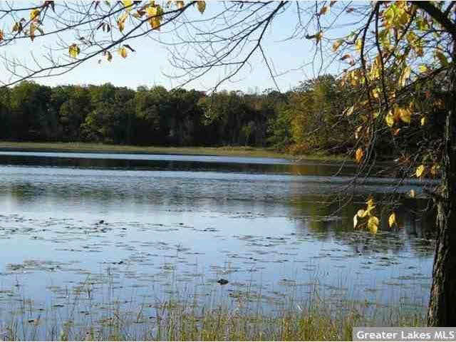 32328 Old Bridge Road Crosby, MN 56441 - Photo 3 of 20 Gallery Image 3