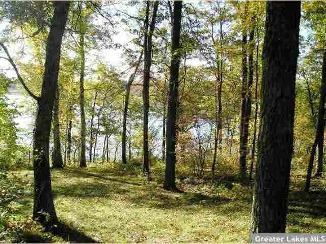 32328 Old Bridge Road Crosby, MN 56441 - Photo 5 of 20 Gallery Image 5