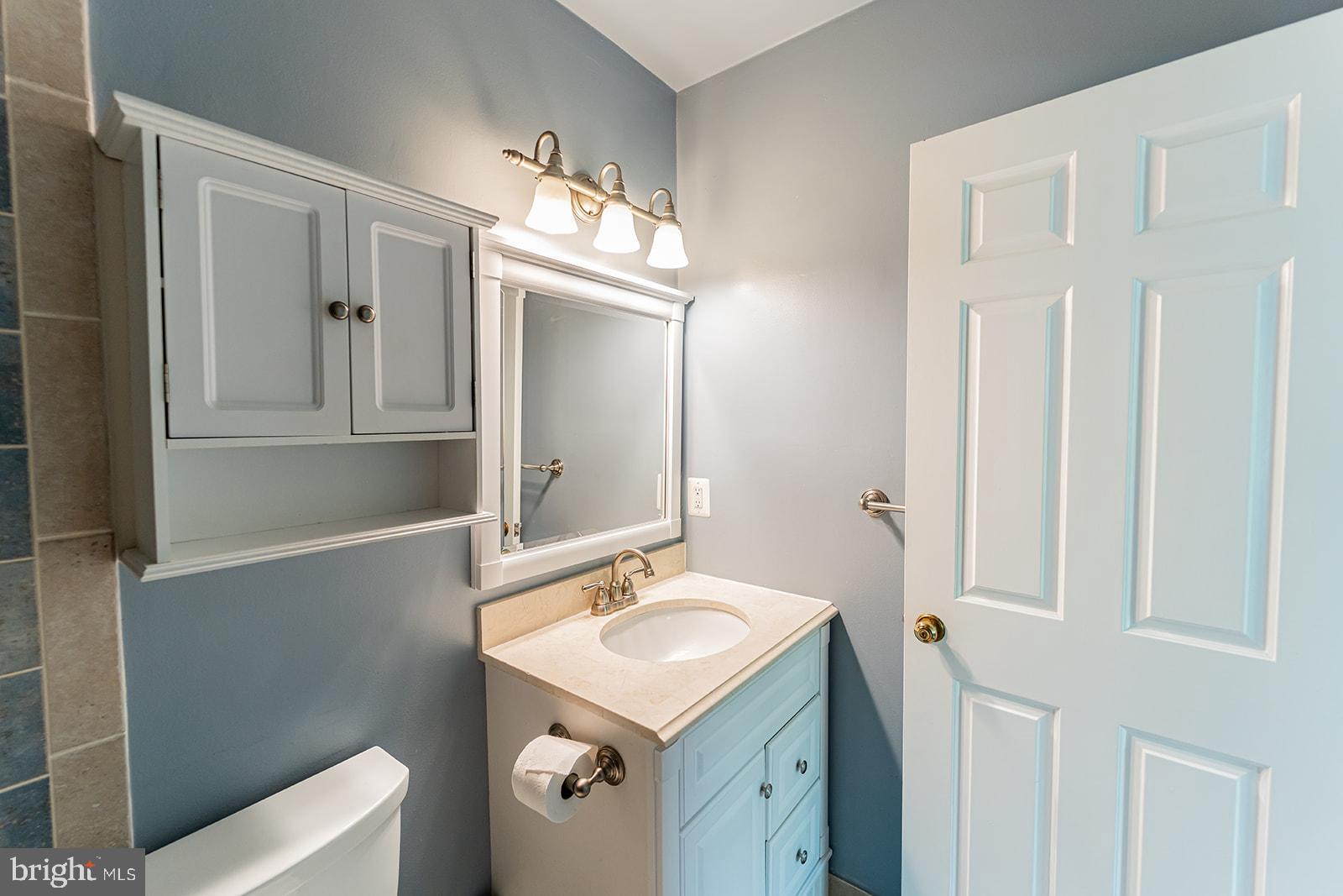 3237 Sutton Place Northwest, Unit A Washington, DC 20016 - Photo 39 of 54 bath cont'd