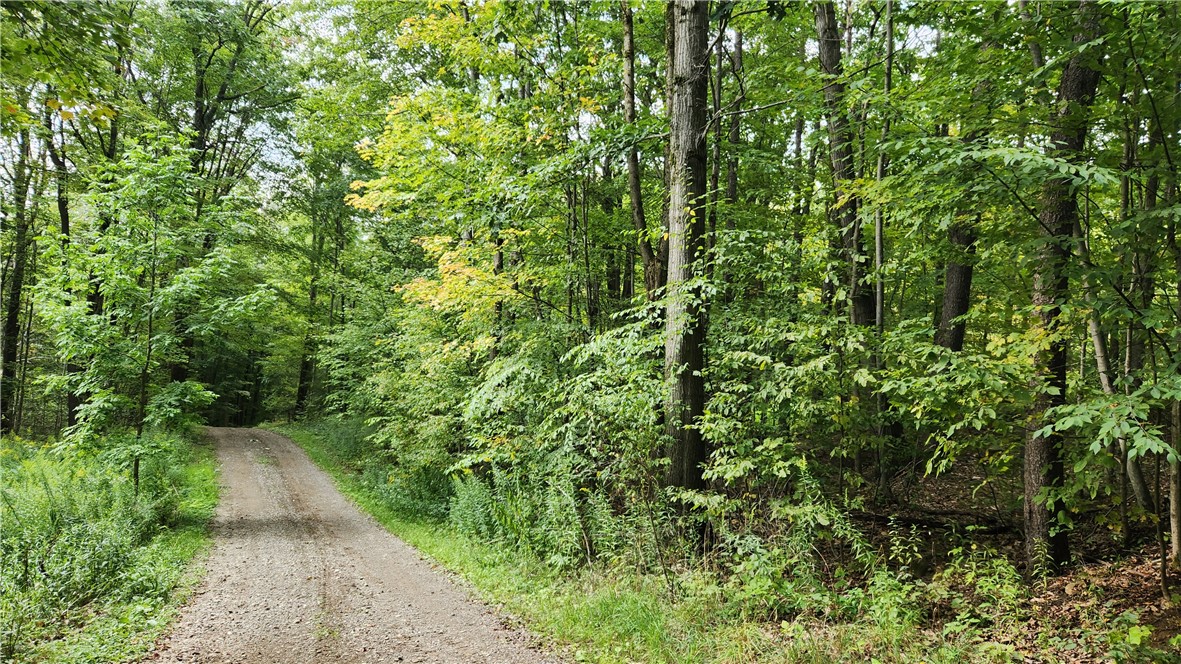 Humphrey Road Great Valley, NY 14741 - Photo 2 of 45 Driveway
