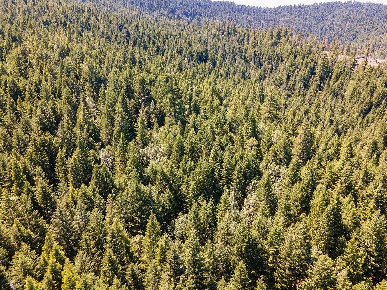Jumpoff Joe Creek Road Grants Pass, OR 97526 - Photo 15 of 33 DJI_0533HDR01