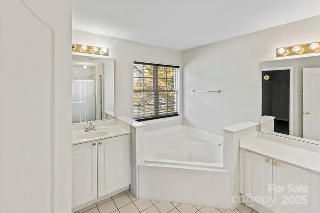 a bathroom with a bathtub sink and mirror