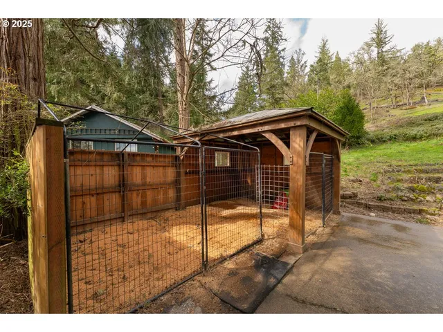 a view of a garden with large trees