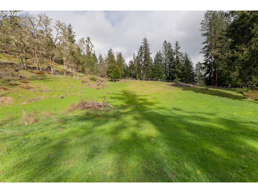402 Northside Road Sutherlin, OR 97479 - Photo 40 of 46 a view of outdoor space with trees all around