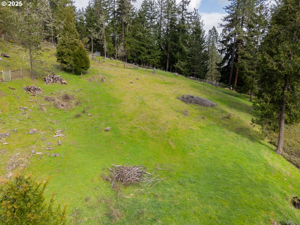 402 Northside Road Sutherlin, OR 97479 - Photo 41 of 46 a view of a yard with an outdoor space