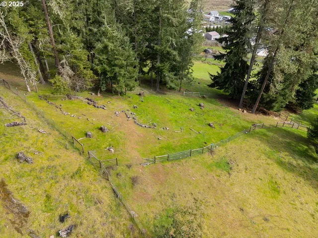 a view of a yard of a building