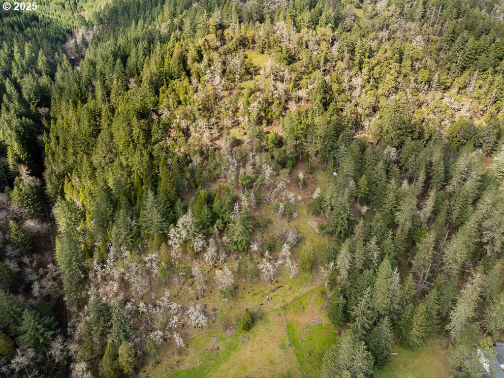 402 Northside Road Sutherlin, OR 97479 - Photo 43 of 46 a view of a yard