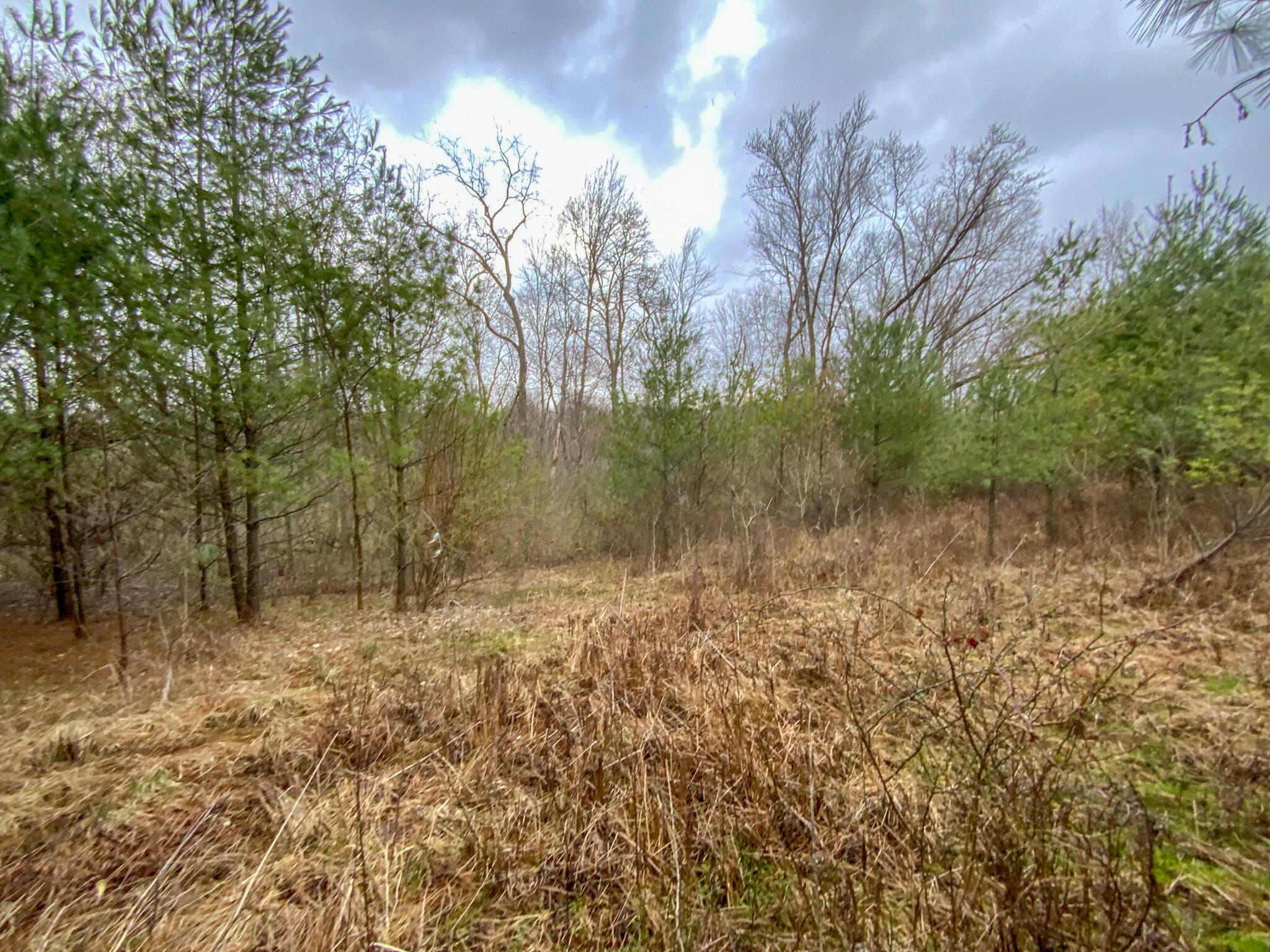 Lot 1 Fogle Road Caldwell, OH 43724 - Photo 11 of 20 IMG_5314