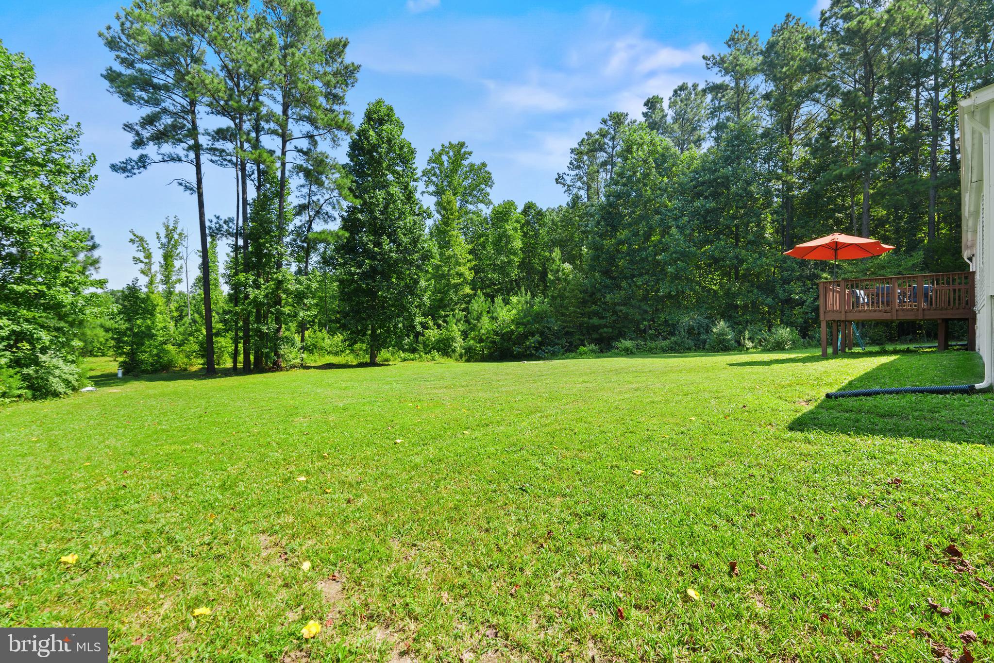5342 Dickerson Road Partlow, VA 22534 - Photo 18 of 23 Gallery Image 18