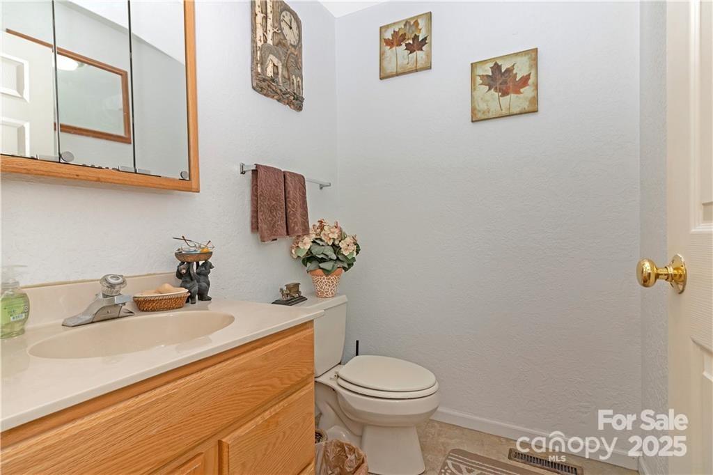 612 Old Home Place Road Tuckasegee, NC 28783 - Photo 20 of 42 a bathroom with a sink mirror vanity and toilet