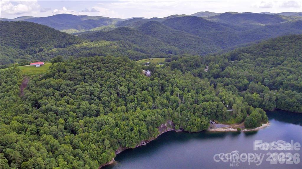 612 Old Home Place Road Tuckasegee, NC 28783 - Photo 3 of 42