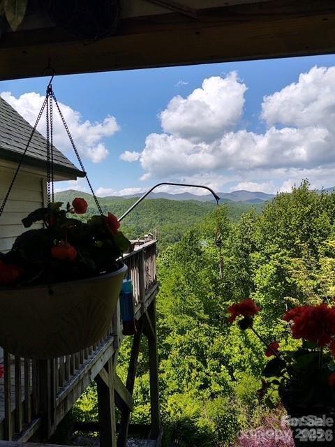 612 Old Home Place Road Tuckasegee, NC 28783 - Photo 35 of 42