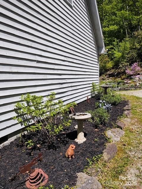 612 Old Home Place Road Tuckasegee, NC 28783 - Photo 36 of 42 a plant that is in front of a house