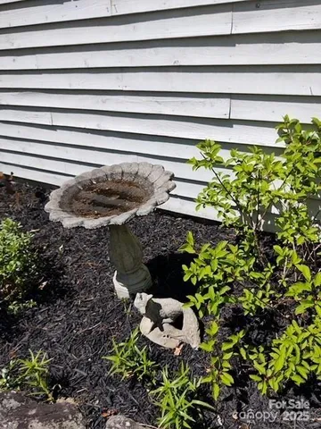 a view of a garden with plants