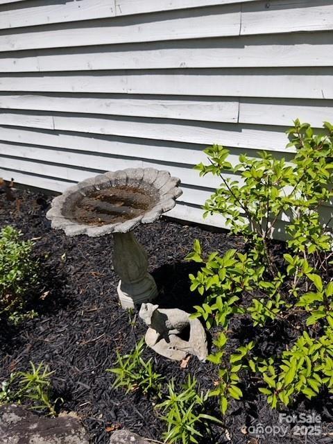 612 Old Home Place Road Tuckasegee, NC 28783 - Photo 38 of 42 a closeup of a plant