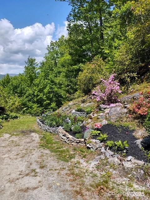 612 Old Home Place Road Tuckasegee, NC 28783 - Photo 39 of 42 a view of a garden with plants