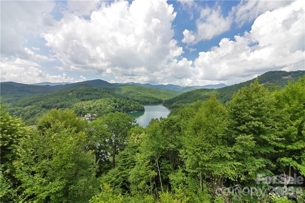 612 Old Home Place Road Tuckasegee, NC 28783 - Photo 5 of 42